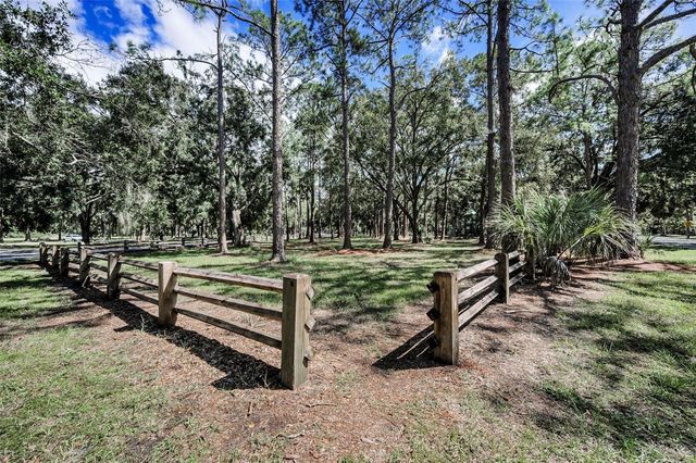 3164 BROOKER CREEK WAY, Palm Harbor, FL 34685