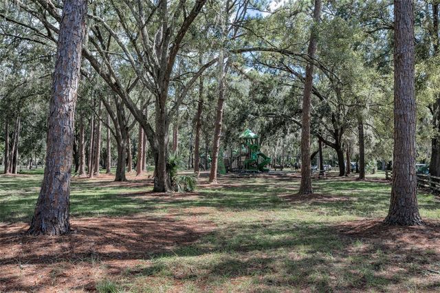 3164 BROOKER CREEK WAY, Palm Harbor, FL 34685