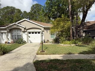 3164 BROOKER CREEK WAY, Palm Harbor, FL 34685