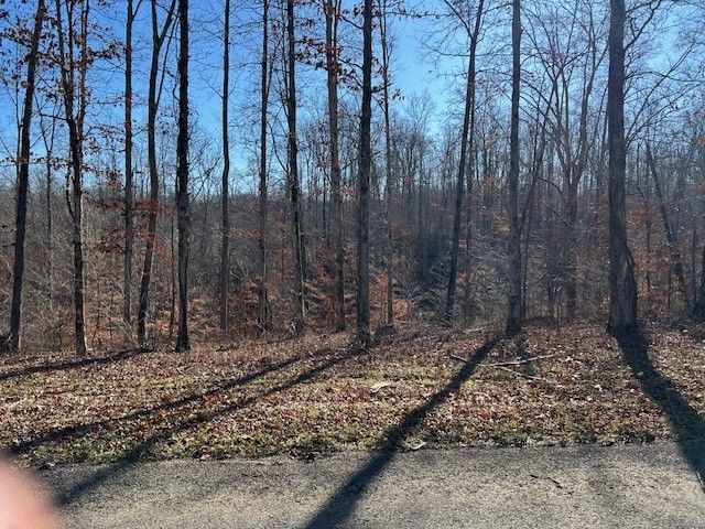 7 Slaughter Rd, N, Primm Springs, TN 38476