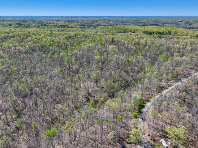 7 Slaughter Rd, N, Primm Springs, TN 38476