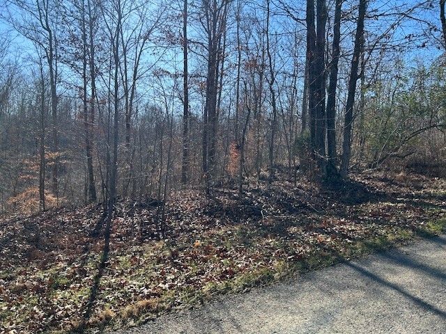 7 Slaughter Rd, N, Primm Springs, TN 38476