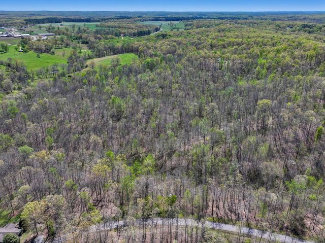 7 Slaughter Rd, N, Primm Springs, TN 38476