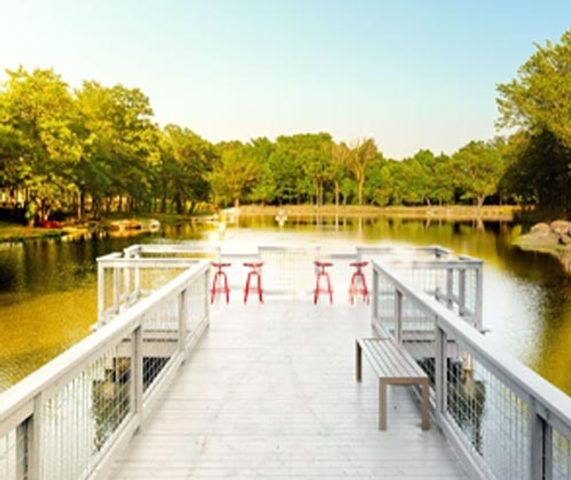 4309 Minnow Cove Road, Oak Point, TX 75068