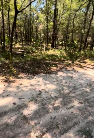11653 Indian Oaks Lane, Houston, TX 77044