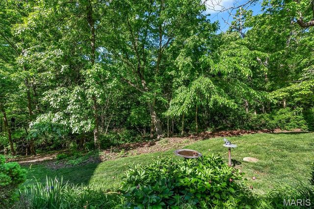 18525 Sassafras Place Drive, Wildwood, MO 63038
