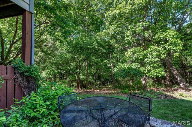 18525 Sassafras Place Drive, Wildwood, MO 63038