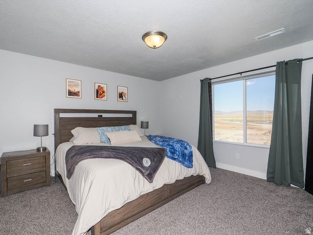 699 E RYEGRASS DR, Eagle Mountain, UT 84005