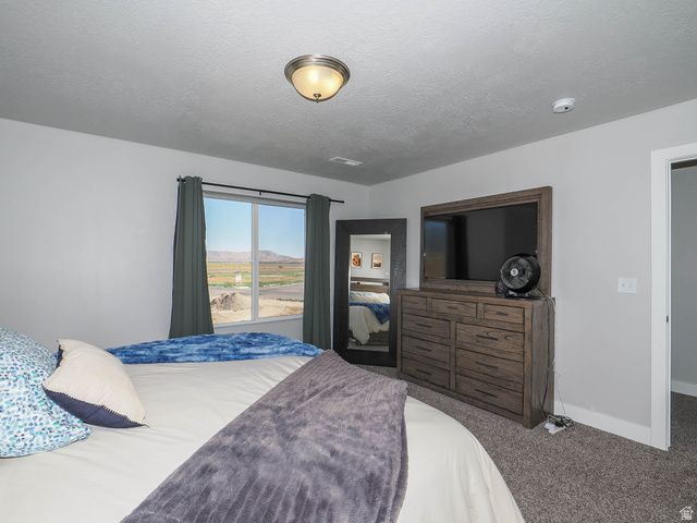 699 E RYEGRASS DR, Eagle Mountain, UT 84005