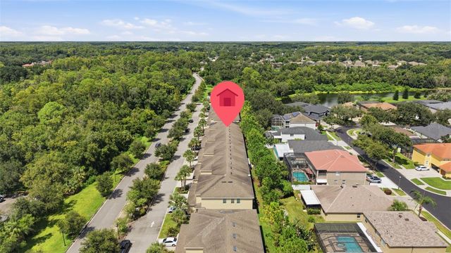 13219 CANOPY CREEK DRIVE, Tampa, FL 33625