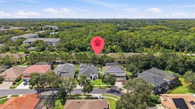 13219 CANOPY CREEK DRIVE, Tampa, FL 33625
