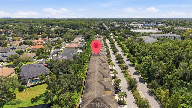 13219 CANOPY CREEK DRIVE, Tampa, FL 33625