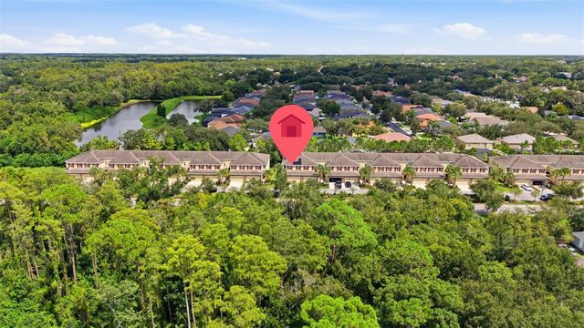 13219 CANOPY CREEK DRIVE, Tampa, FL 33625