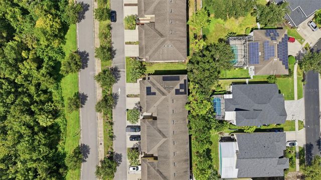 13219 CANOPY CREEK DRIVE, Tampa, FL 33625