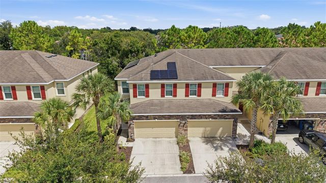 13219 CANOPY CREEK DRIVE, Tampa, FL 33625