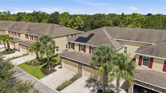 13219 CANOPY CREEK DRIVE, Tampa, FL 33625