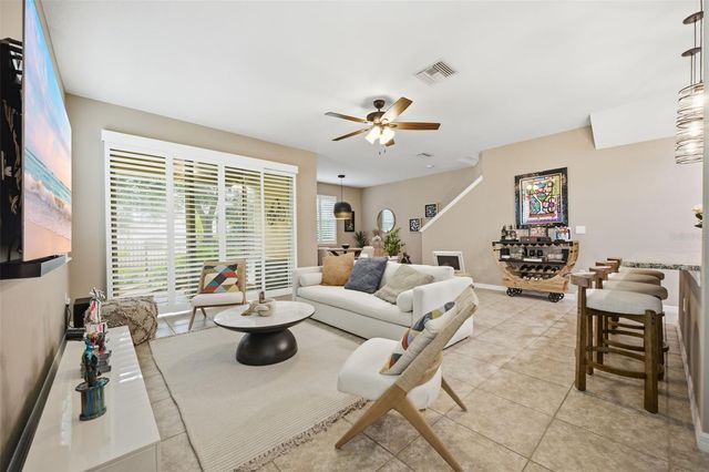 13219 CANOPY CREEK DRIVE, Tampa, FL 33625
