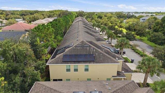 13219 CANOPY CREEK DRIVE, Tampa, FL 33625