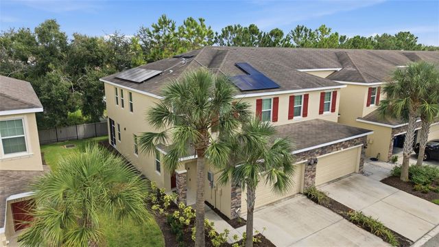 13219 CANOPY CREEK DRIVE, Tampa, FL 33625