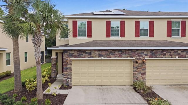 13219 CANOPY CREEK DRIVE, Tampa, FL 33625