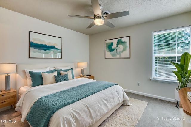 10 Pepper Ridge Court 10, Gray, TN 37615