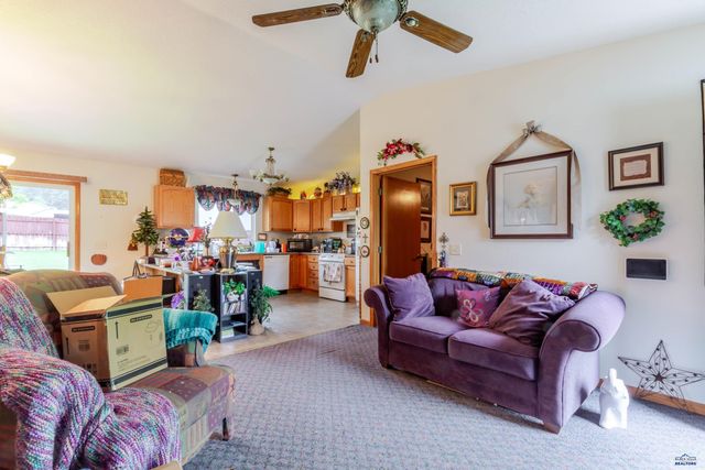 13263 HORSESHOE CT, Piedmont, SD 57769
