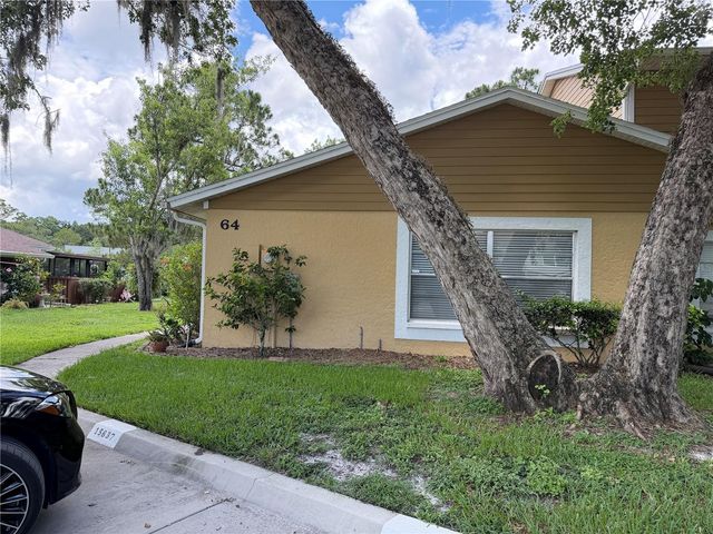 15637 MORNING DRIVE, Lutz, FL 33559
