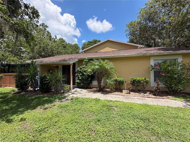 15637 MORNING DRIVE, Lutz, FL 33559