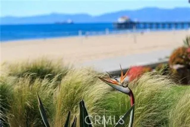 216 6th Street, Manhattan Beach, CA 90266