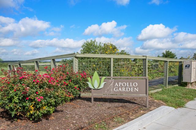 9506 Whisper Willow BLVD, Manor, TX 78653