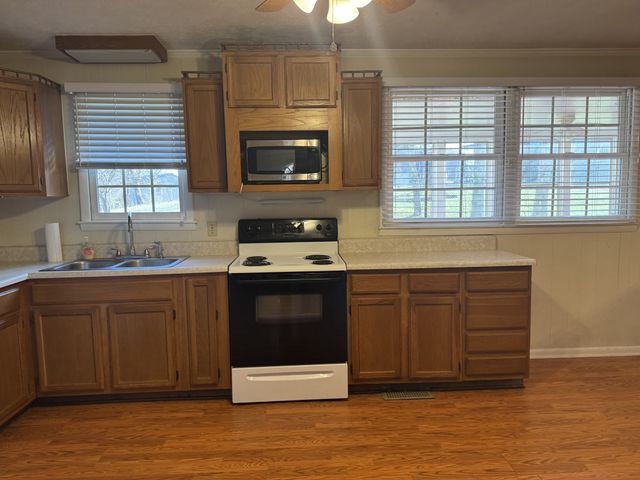 115 Larkins Dr, White Bluff, TN 37187