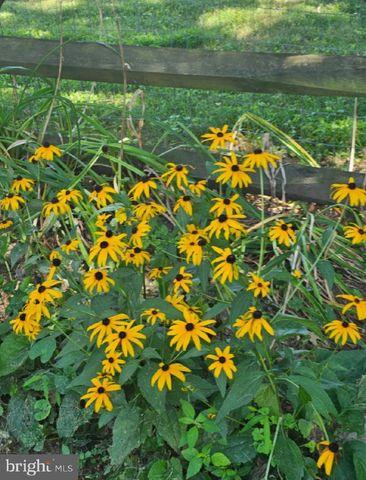 17208 HUNTER GREEN RD, Upperco, MD 21155