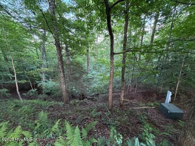 Lot 59 Quiet Mountain Trail, Murphy, NC 28906