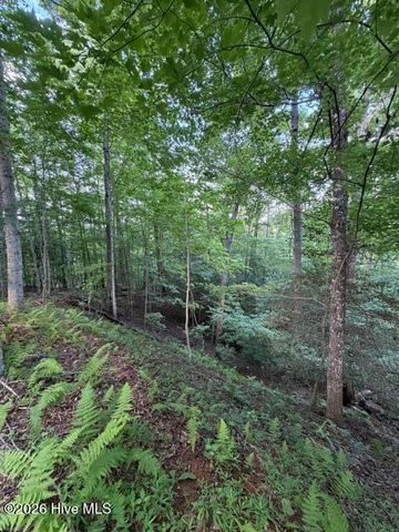 Lot 59 Quiet Mountain Trail, Murphy, NC 28906