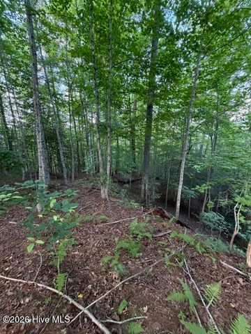 Lot 59 Quiet Mountain Trail, Murphy, NC 28906