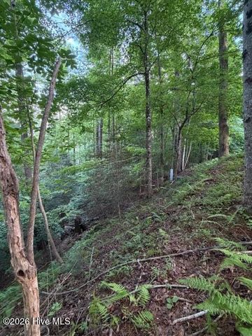 Lot 59 Quiet Mountain Trail, Murphy, NC 28906