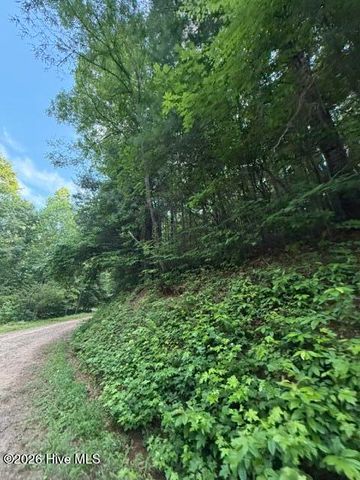 Lot 59 Quiet Mountain Trail, Murphy, NC 28906