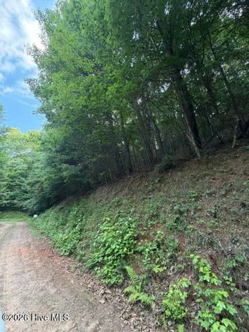 Lot 59 Quiet Mountain Trail, Murphy, NC 28906
