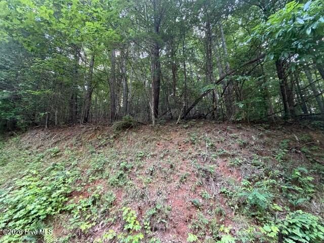 Lot 59 Quiet Mountain Trail, Murphy, NC 28906