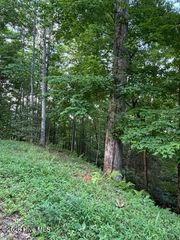 Lot 59 Quiet Mountain Trail, Murphy, NC 28906