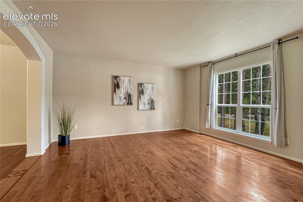 15849 Longmeadow Lane, Colorado Springs, CO 80921 — photo 4