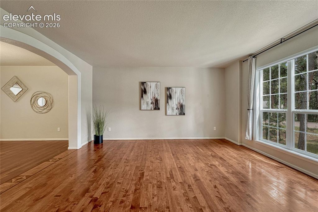 15849 Longmeadow Lane, Colorado Springs, CO 80921 — photo 5