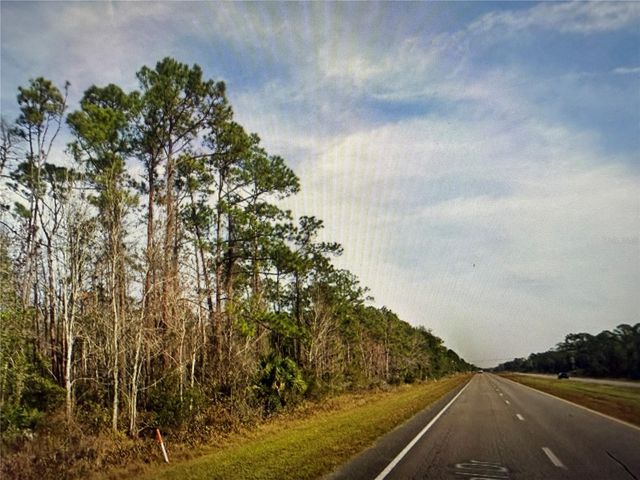 20617 E COLONIAL DRIVE, Christmas, FL 32709