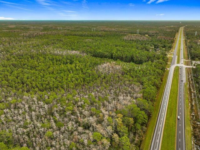 20617 E COLONIAL DRIVE, Christmas, FL 32709