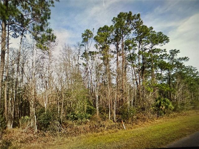 20617 E COLONIAL DRIVE, Christmas, FL 32709