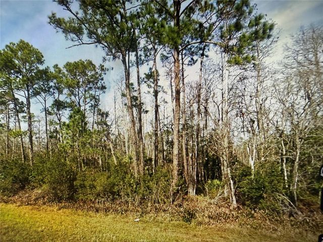 20617 E COLONIAL DRIVE, Christmas, FL 32709