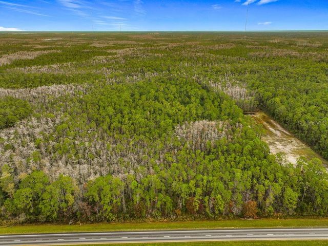 20617 E COLONIAL DRIVE, Christmas, FL 32709