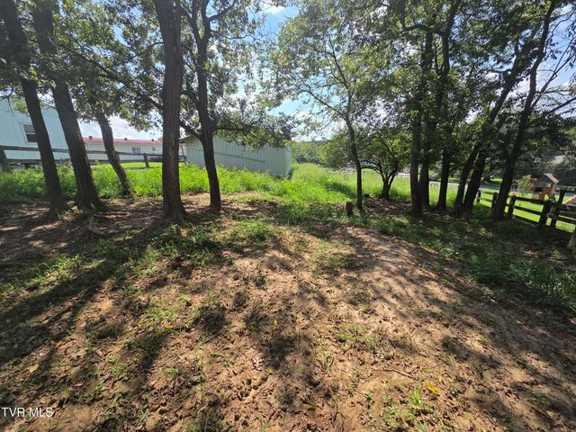 114 Miller Street, Limestone, TN 37681
