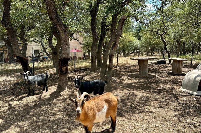401 N RAINBOW RANCH RD, Wimberley, TX 78676