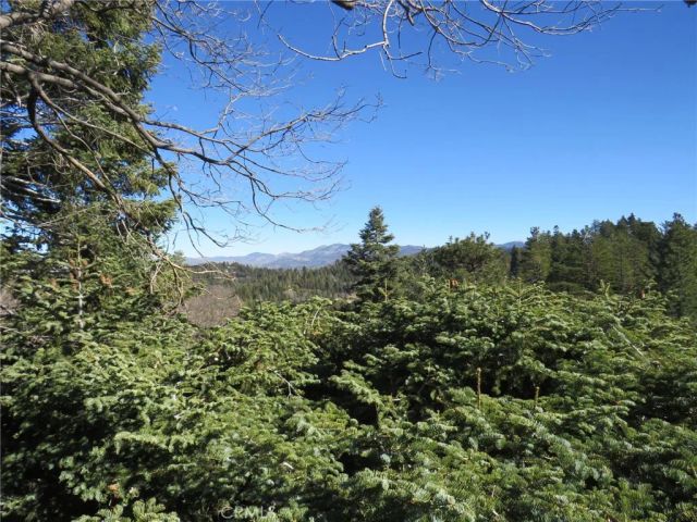 26335 Walnut Hills Drive, Lake Arrowhead, CA 92352